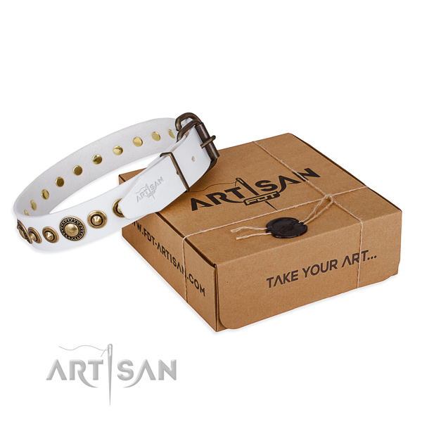 Awesome leather dog collar for stylish walks