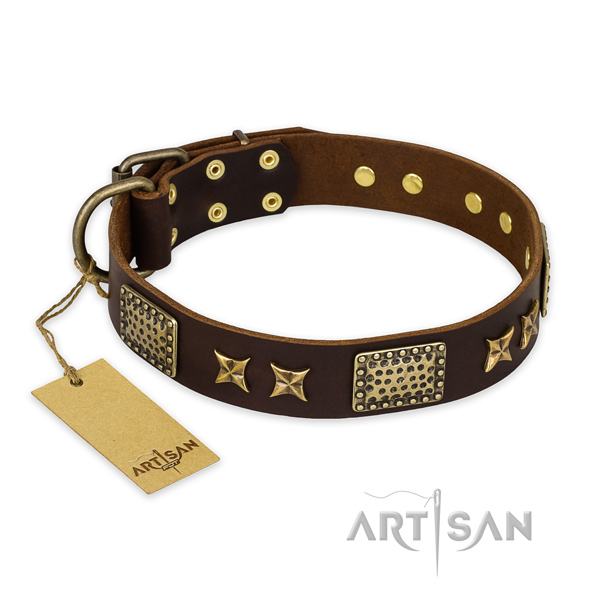 Unusual design adornments on leather dog collar