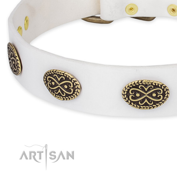 Daily use full grain leather collar with corrosion resistant buckle and D-ring