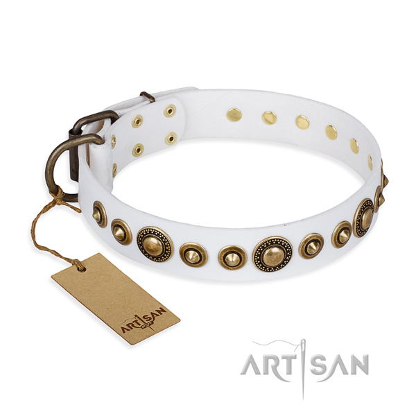 Impressive design embellishments on leather dog collar