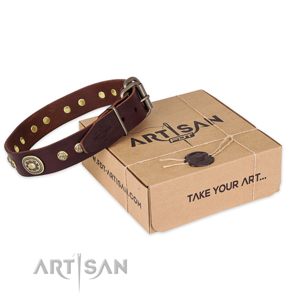 Impressive natural genuine leather dog collar for walking