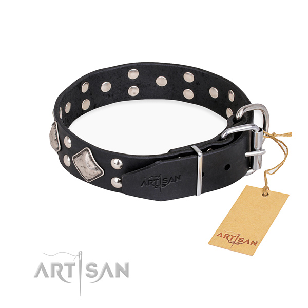 Functional leather collar for your gorgeous dog