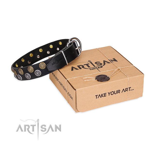 Casual style leather dog collar with amazing studs