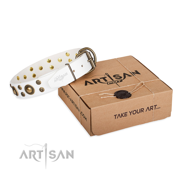 Casual leather dog collar with fancy adornments