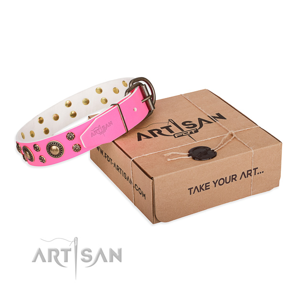 Daily leather dog collar with amazing decorations