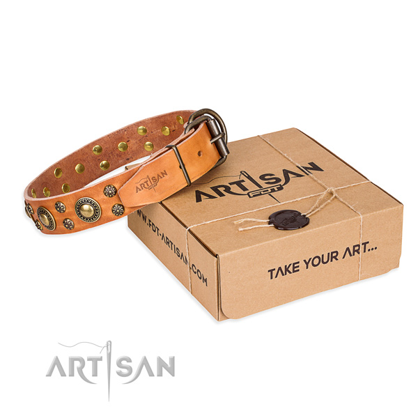 Day-to-day leather dog collar with astonishing decorations