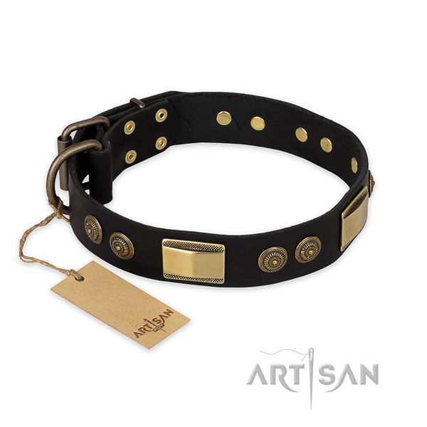 Stunning design studs on genuine leather dog collar