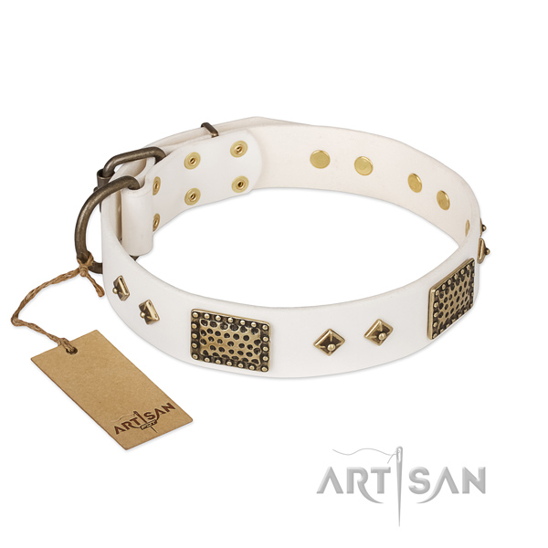 Amazing design adornments on full grain genuine leather dog collar