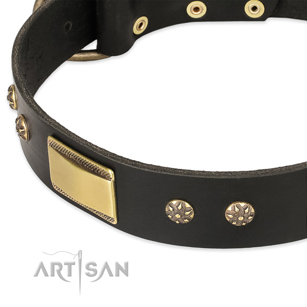 Everyday walking genuine leather collar with corrosion resistant buckle and D-ring
