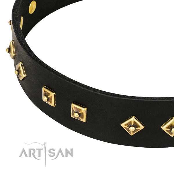 Walking full grain leather collar with strong buckle and D-ring