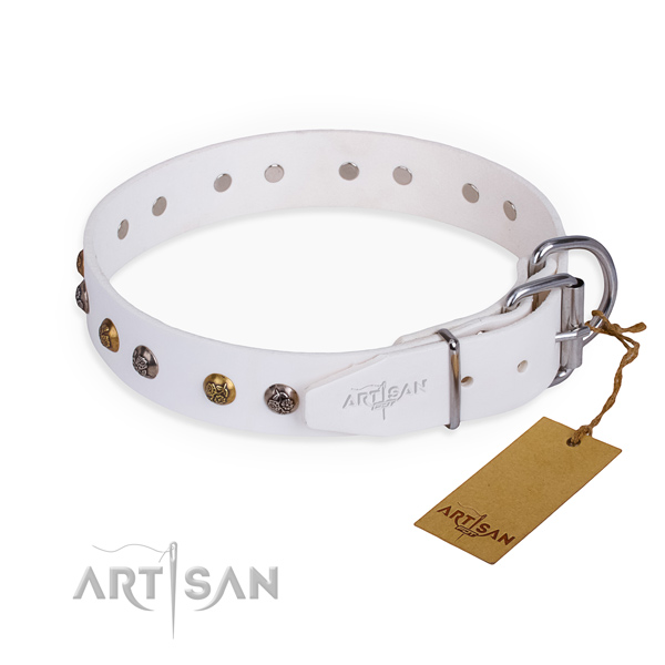 Fashionable design adornments on leather dog collar