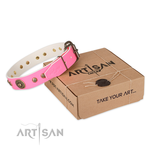 Stylish full grain leather dog collar for stylish walking