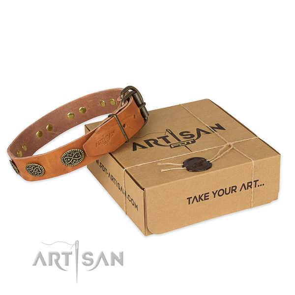 Trendy genuine leather dog collar for stylish walking