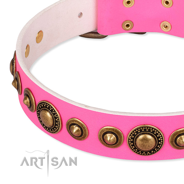 Adjustable leather dog collar with resistant non-rusting buckle