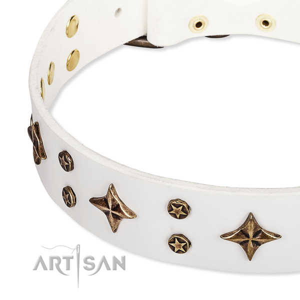 Easy to use leather dog collar with resistant to tear and wear brass plated fittings