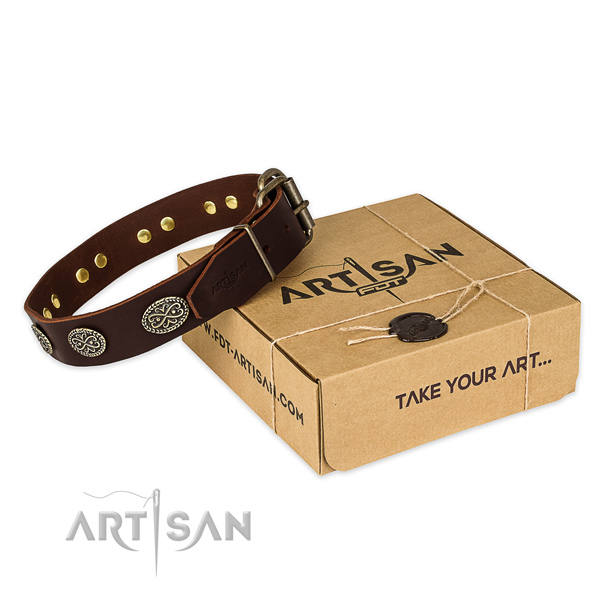 Awesome full grain leather dog collar for stylish walking