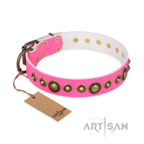 Unique design embellishments on full grain leather dog collar