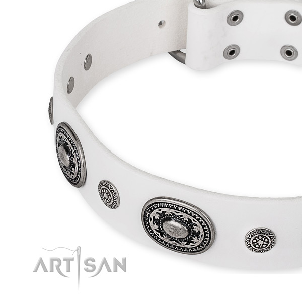 Easy to adjust leather dog collar with extra strong non-rusting hardware