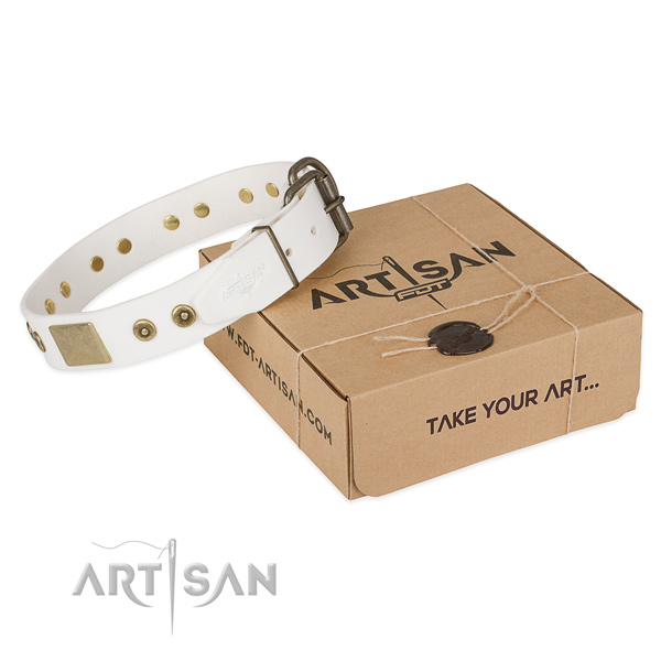 Fine quality genuine leather dog collar for walking in style