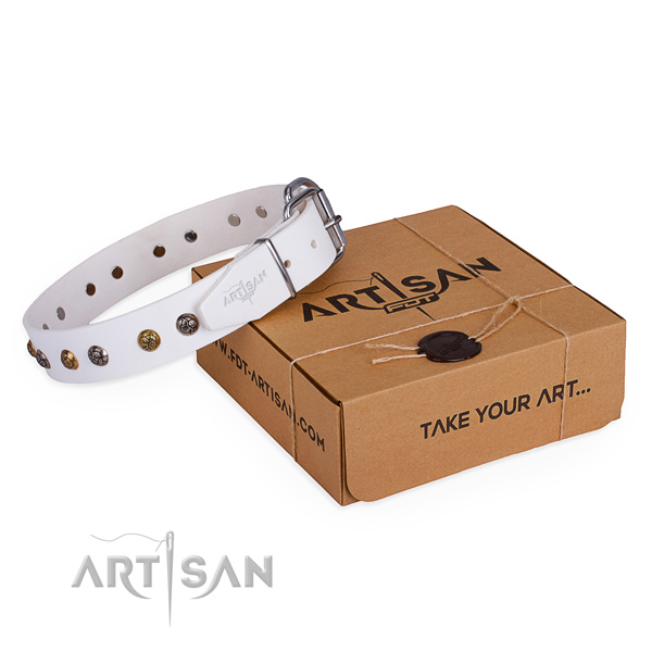 Fashionable leather dog collar for daily walking