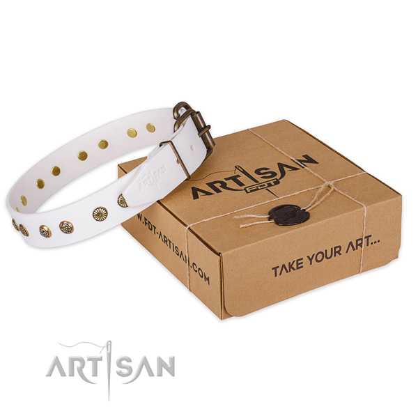Trendy leather dog collar for daily walking