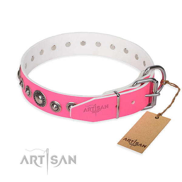 Heavy-duty leather dog collar with rust-resistant fittings