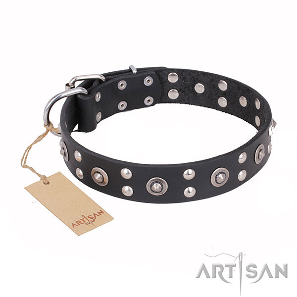 Exceptional design decorations on full grain leather dog collar