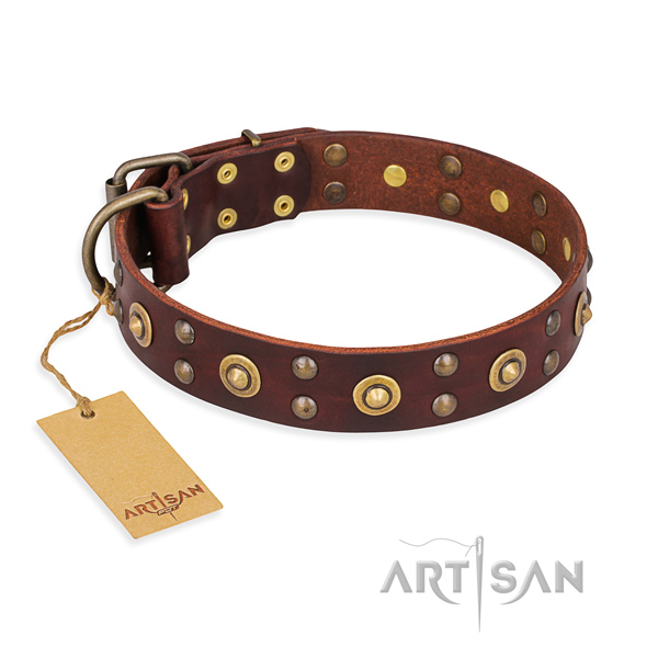 Amazing design embellishments on genuine leather dog collar
