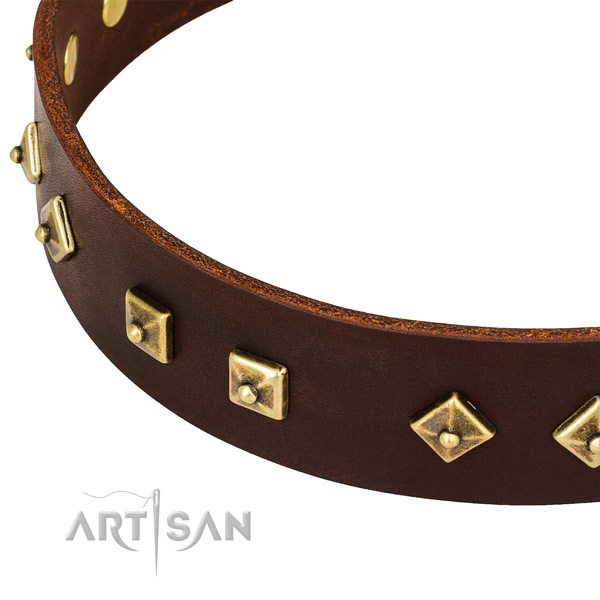 Everyday use genuine leather collar with rust resistant buckle and D-ring
