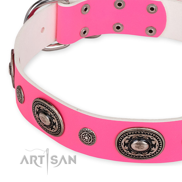Easy to use leather dog collar with resistant to tear and wear non-rusting set of hardware