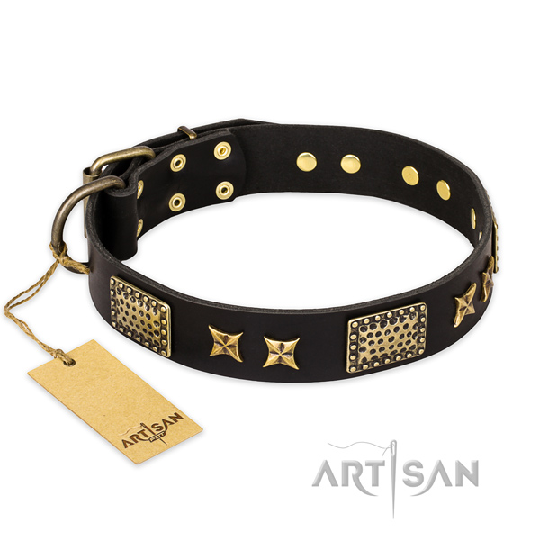Exquisite design studs on natural genuine leather dog collar