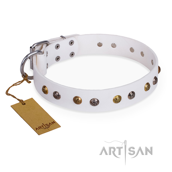 Fashionable leather collar for your noble four-legged friend