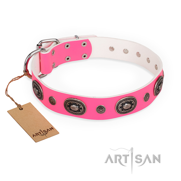 Everyday leather collar for your gorgeous pet