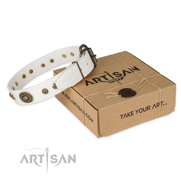 High quality full grain leather dog collar for everyday use