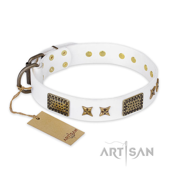 Trendy design embellishments on full grain genuine leather dog collar