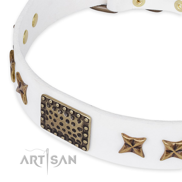 Quick to fasten leather dog collar with extra strong non-rusting buckle