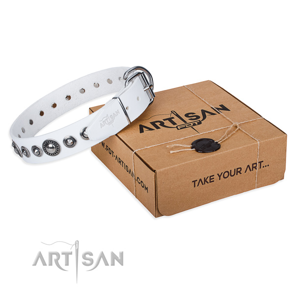 Stylish leather dog collar for walking in style