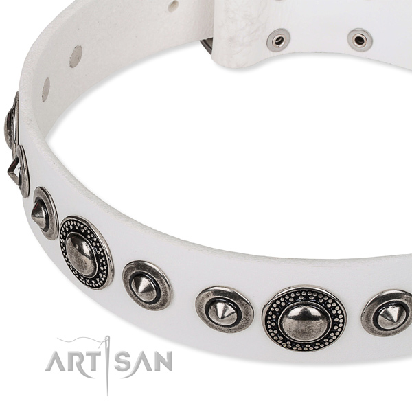 Quick to fasten leather dog collar with extra sturdy non-rusting buckle