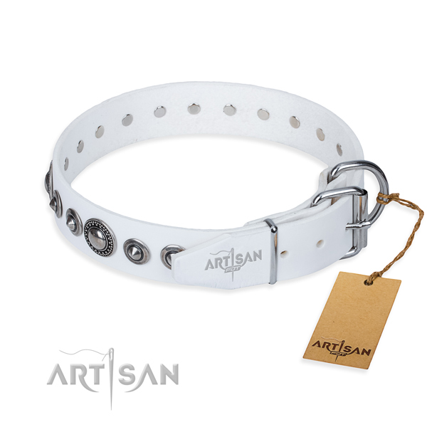 Versatile leather collar for your noble canine
