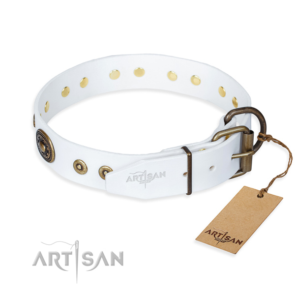 Versatile leather collar for your elegant four-legged friend