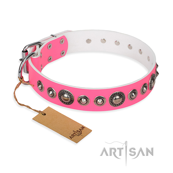 Functional leather collar for your stunning dog