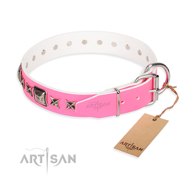 Stylish leather collar for your handsome canine