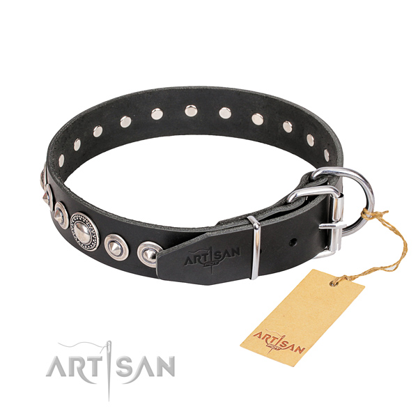 Everyday leather collar for your stunning four-legged friend