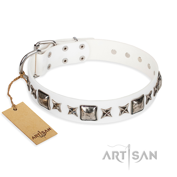 Practical leather collar for your elegant dog