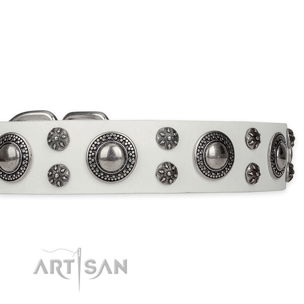 Easy to adjust leather dog collar with resistant to tear and wear rust-proof set of hardware