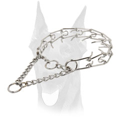 Obedience training pinch collar for Doberman
