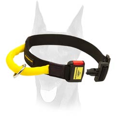 All weather nylon Doberman collar