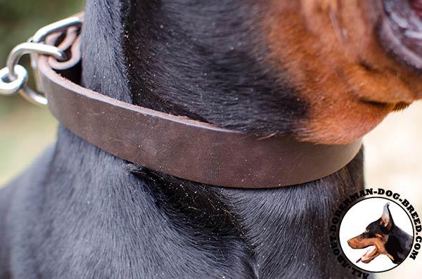 Comfortable Doberman leather collar 