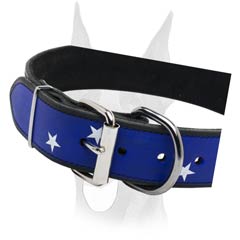 American Pride collar for Doberman