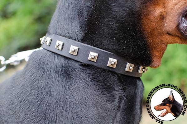 Studded leather Doberman collar with pyramids